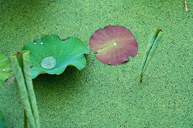 欧美服PS Plus 4月会免公布：《机械战警：暴戾都市》等